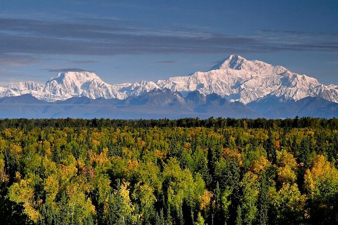 Denali Zipline Tour in Talkeetna, AK - What to wear for an all-weather Alaska activity