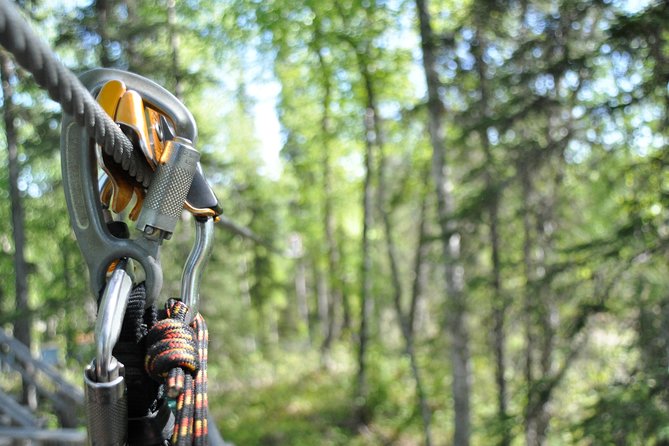 Denali Zipline Tour in Talkeetna, AK - Who will enjoy this Talkeetna zipline most?
