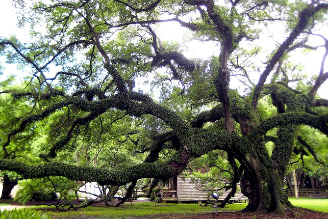 Destrehan Plantation Tour - Slave cabin, registry, kitchen, and washroom