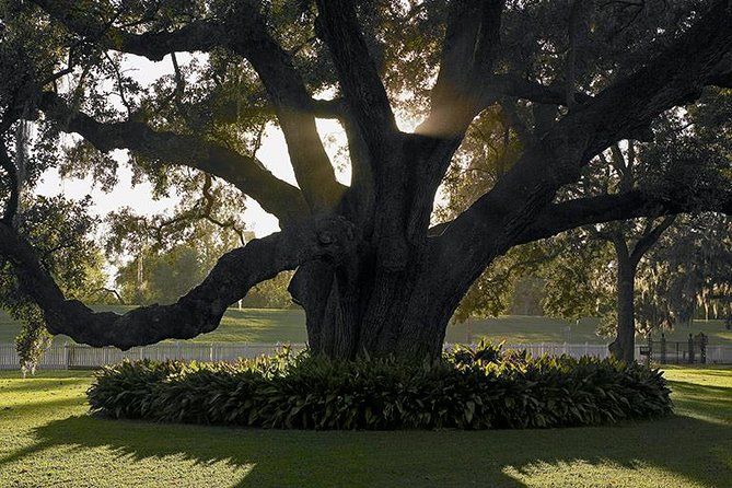 Destrehan Plantation Tour - The Legacy Room and original documents