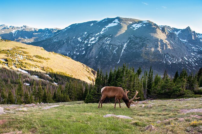 Discover Rocky Mountain National Park - Key points to know before you book