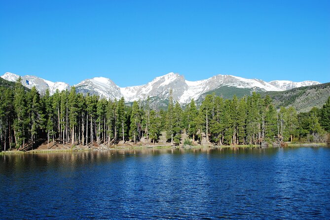 Discover Rocky Mountain National Park - Wildlife watching without chasing animals