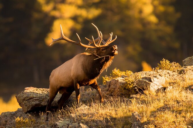 Discover Rocky Mountain National Park - The Stanley Hotel and Estes Park