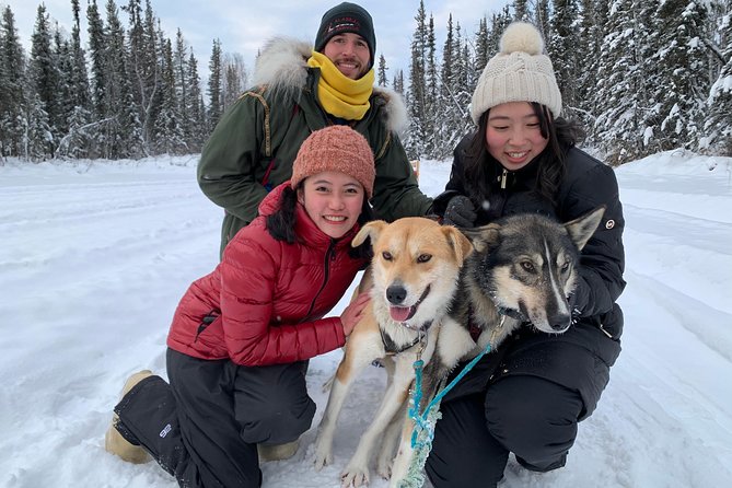 Dog Sledding and Mushing Experience in North Pole - Key points to know before you book
