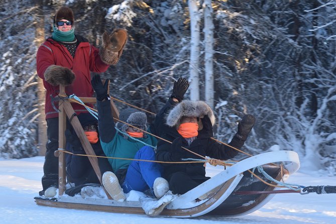 Dog Sledding and Mushing Experience in North Pole - Meeting Alaskan Huskies at Rod’s Alaskan Guide Service