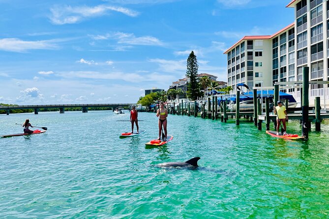 Dolphin and Manatee Adventure Tour of Fort Myers - Wildlife sightings: exciting when they happen, uncertain by nature