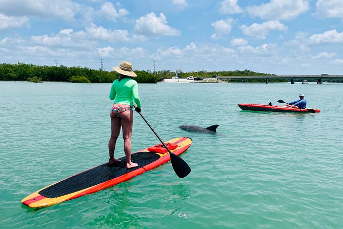 Dolphin and Manatee Adventure Tour of Fort Myers - The white-sand beach and shell search