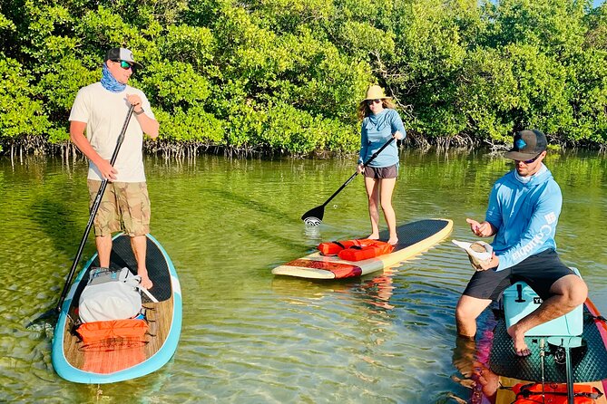 Dolphin and Manatee Adventure Tour of Fort Myers - How much value do you get for $65?