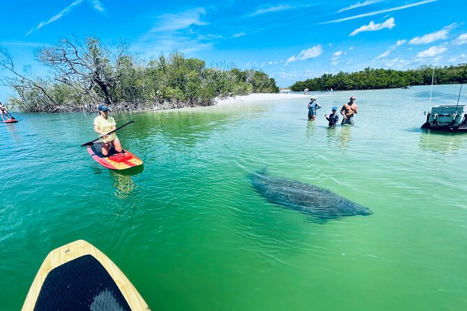Dolphin and Manatee Adventure Tour of Fort Myers - Who will enjoy this most?