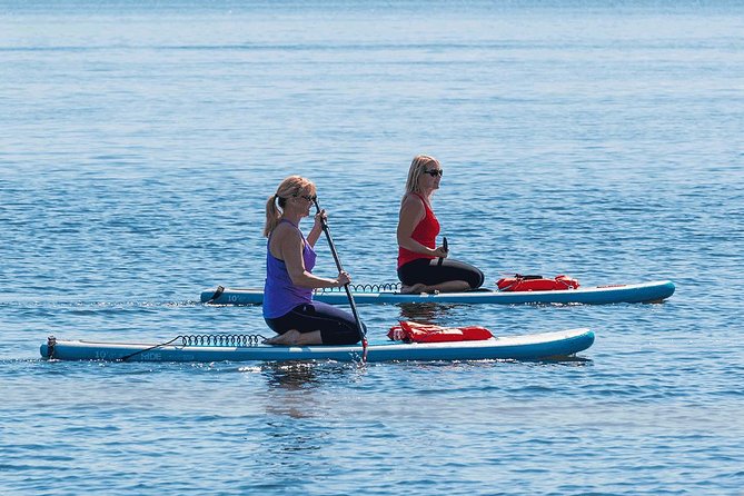 Dolphin and Manatee Stand Up Paddleboard Tour in Daytona Beach - Circling the island beneath seven bridges