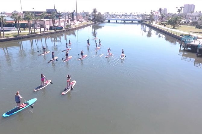 Dolphin and Manatee Stand Up Paddleboard Tour in Daytona Beach - What guides add to the experience