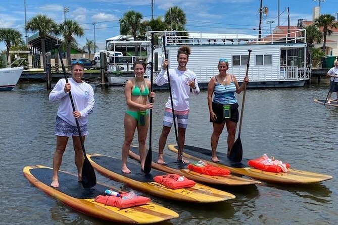 Dolphin and Manatee Stand Up Paddleboard Tour in Daytona Beach - Weather can change the character of the trip