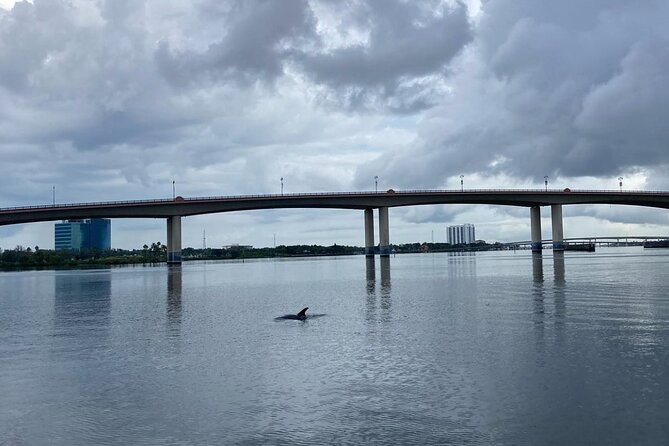 Dolphin and Manatee Stand Up Paddleboard Tour in Daytona Beach - Is $65 a fair price?
