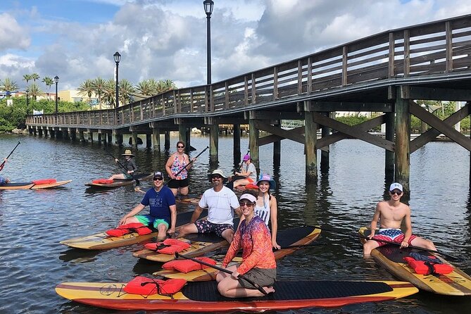 Dolphin and Manatee Stand Up Paddleboard Tour in Daytona Beach - Who will enjoy this Daytona Beach tour?