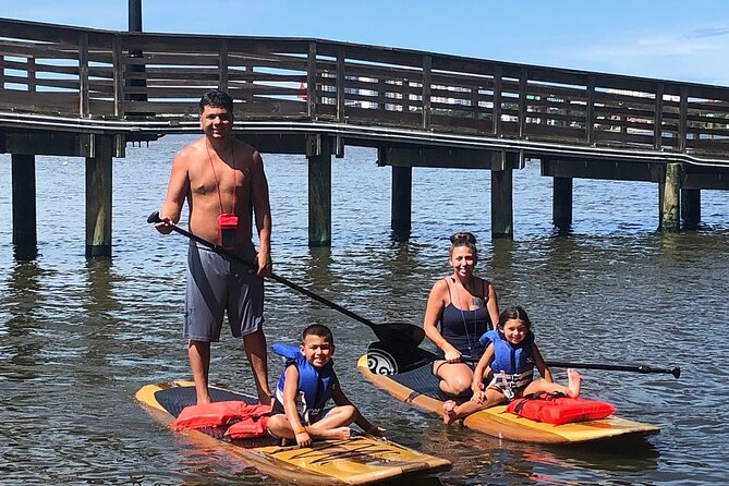 Dolphin and Manatee Stand Up Paddleboard Tour in Daytona Beach - Your first lesson happens on land and in calm water
