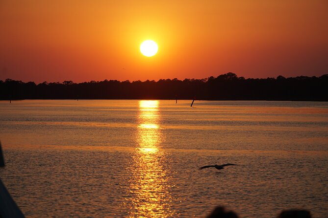 Dolphin and Nature Sunset Cruise from Orange Beach - Key Points Before You Book