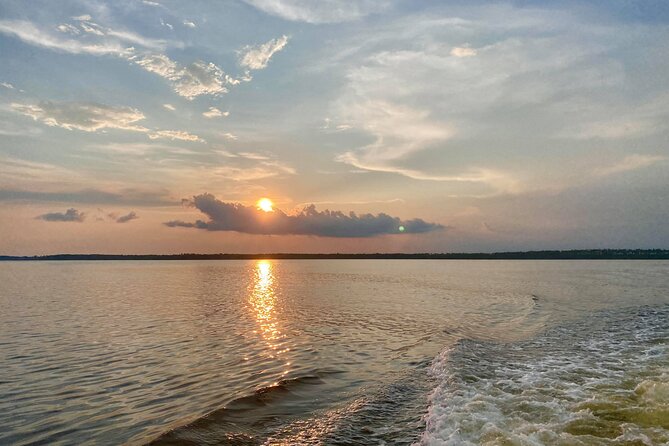 Dolphin and Nature Sunset Cruise from Orange Beach - What the $50 Price Really Buys