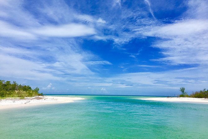 Dolphin and Shelling Cruise for up to 12 people - Why the Ten Thousand Islands setting matters