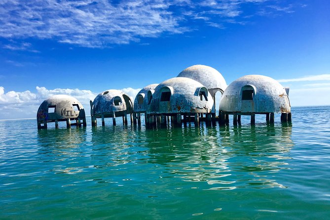 Dolphin and Shelling Cruise for up to 12 people - Morning or afternoon: choosing your departure