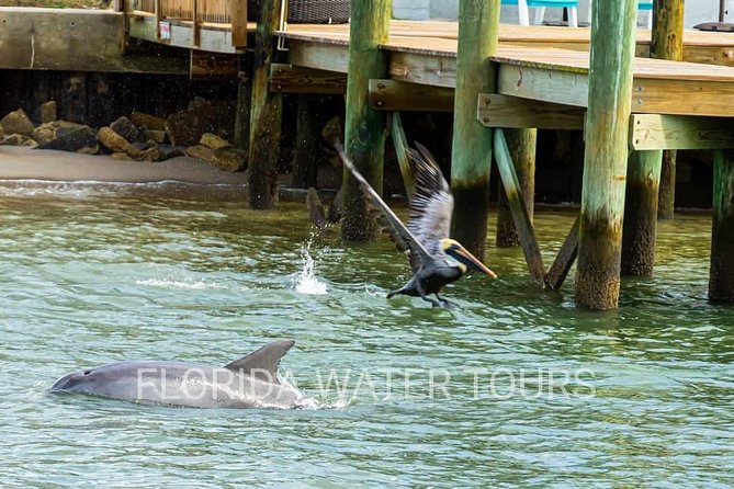 Dolphin and Wildlife Adventure of St. Augustine - The Bridge of Lions from a pirate’s viewpoint