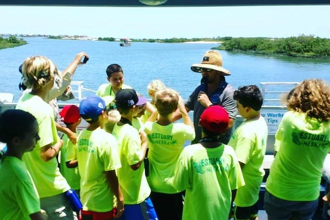 Dolphin and Wildlife Adventure of St. Augustine - Watching for dolphins, manatees, and sea turtles
