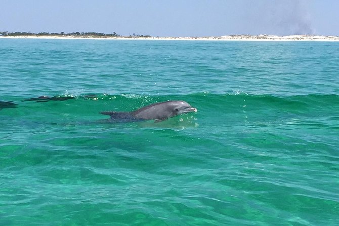 Dolphin Cruise in Destin FL - Leaving HarborWalk Village for Destin Harbor