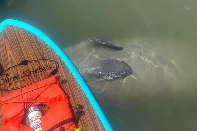 Dolphin, Manatee and SeaTurtle SUP Adventure Tour of St Augustine - A gentle start at 442 Ocean Vista Avenue