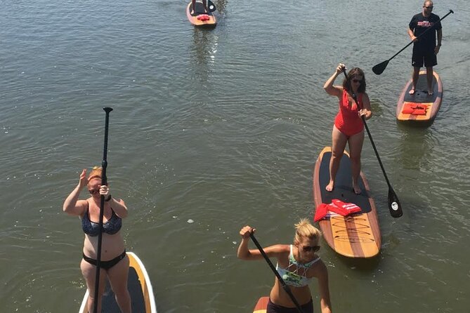 Dolphin, Manatee and SeaTurtle SUP Adventure Tour of St Augustine - Wildlife watching, with realistic expectations