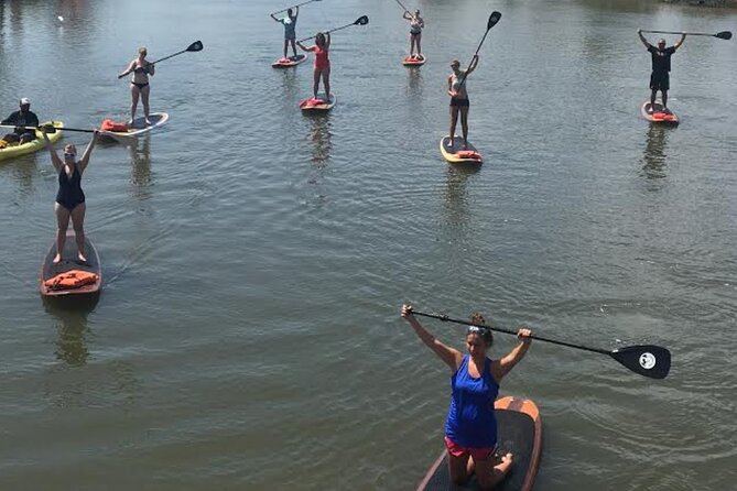 Dolphin, Manatee and SeaTurtle SUP Adventure Tour of St Augustine - Guides who add value to the quiet moments