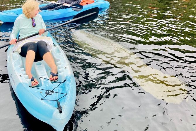 Dolphin, Manatee and SeaTurtle SUP Adventure Tour of St Augustine - Weather, cancellations, and the real scheduling risk