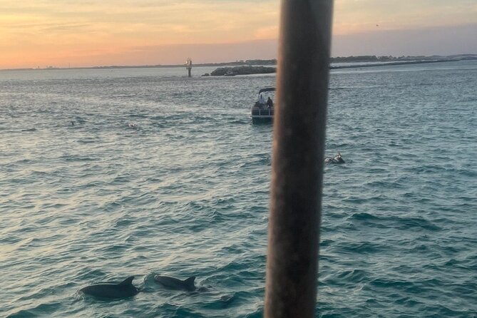 Dolphin & Sunset Cruises - Key points to know before you book