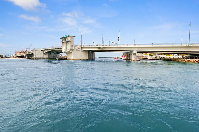 Dolphin Watching/Eco Cruise, John's Pass, Madeira Bch, FL - Is $31.03 a good value?
