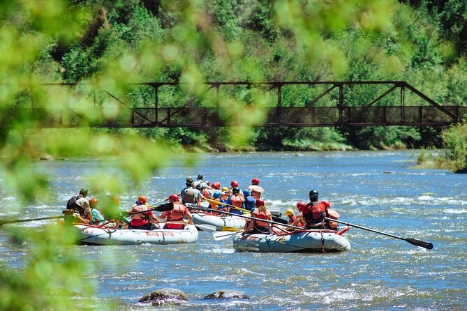 Durango Half Day Rafting Trip - Lower Animas River - Meeting Train Bridge Rapid and Baby Smelter