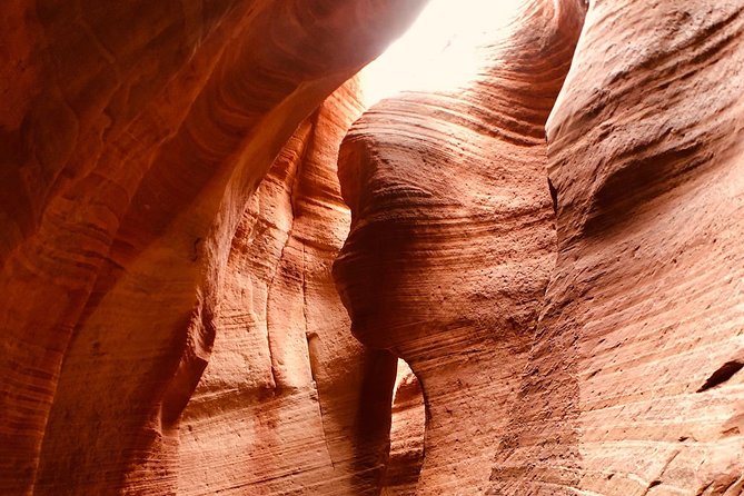 East Zion 4 Hour Slot Canyon Canyoneering UTV Tour - How the guides shape the experience
