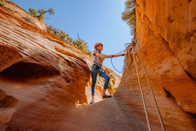 East Zion: Coral Sands Half-day Canyoneering Tour - Timing, heat, and cold in East Zion