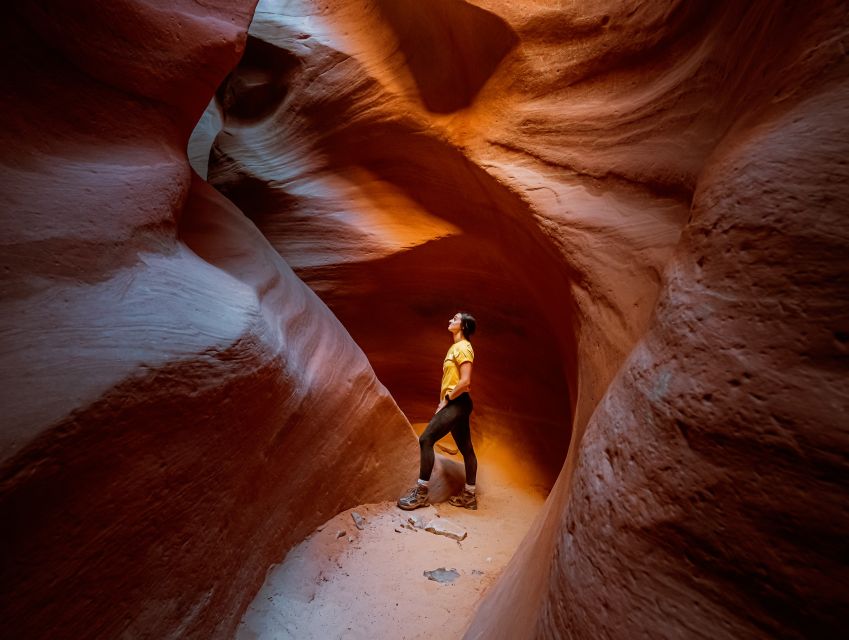 East Zion: Crimson Slot Canyon Exploration and UTV Tour - Why this tour feels different from a standard Zion outing
