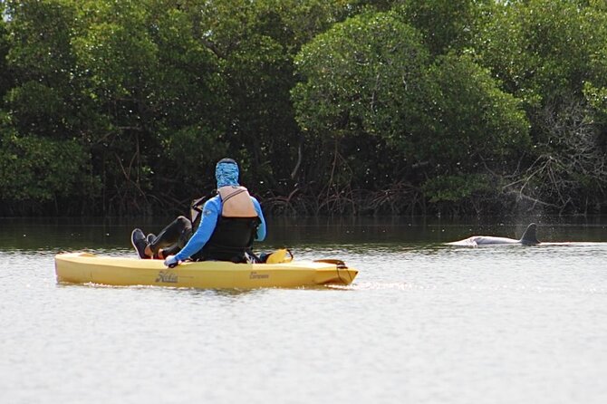 Easy Ride Pedal Kayak Tour Marco Island & Naples (Pedal or Paddle - The Pre-Tour Briefing and First Time on the Water