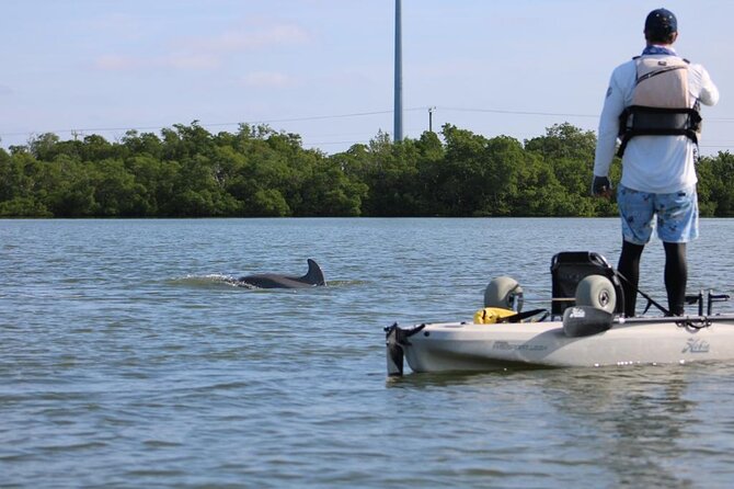 Easy Ride Pedal Kayak Tour Marco Island & Naples (Pedal or Paddle - Timing, Group Size, and What to Bring