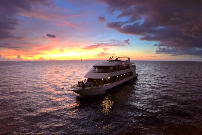 Evening Yacht Cruise with Optional Dining in St. Petersburg - Key points before you book
