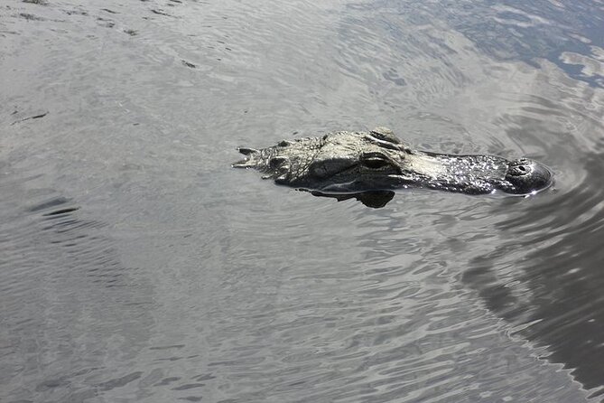 Everglades Airboat Tour from Fort Lauderdale with transportation - Confirm the pickup before you wait outside