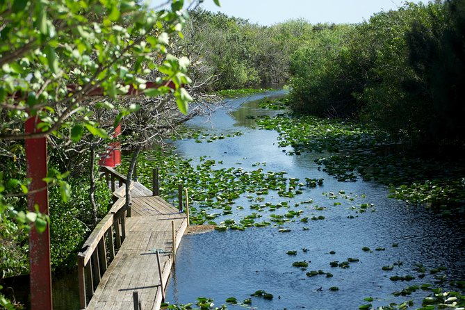 Everglades Airboat, Wildlife Show, and Roundtrip Bus From Miami - The guides can shape the whole day