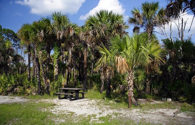 Everglades Day Safari from Ft Lauderdale - Key points at a glance