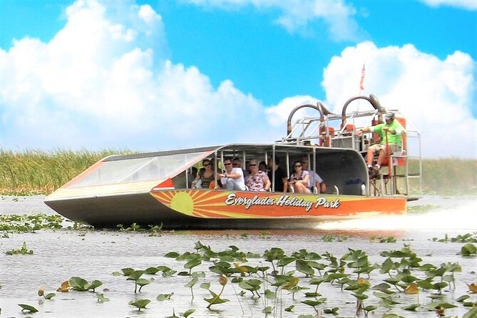 Everglades Holiday Park Airboat Tours & Rides - What you may see in the wetlands