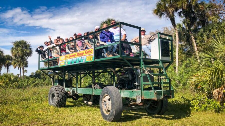 Everglades: Mangrove Maze Airboat Tour and Boardwalk - Why this Everglades ride works so well