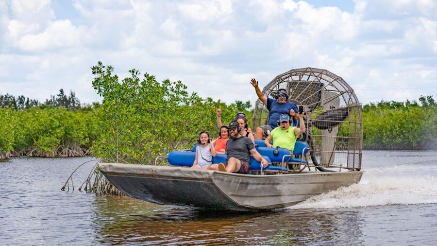 Everglades: Mangrove Maze Airboat Tour and Boardwalk - What you may see in the Everglades