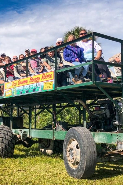 Everglades: Mangrove Maze Airboat Tour and Boardwalk - Timing, comfort, and what to bring