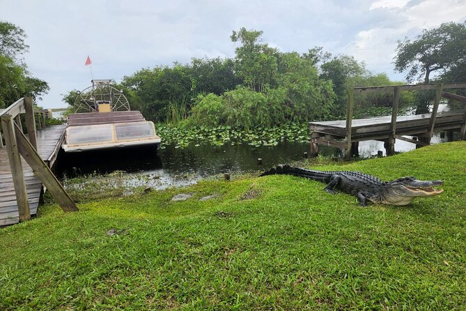 Everglades National Park Biologist Led Adventure: Cruise, Hike + Airboat - Ten Thousand Islands by boat