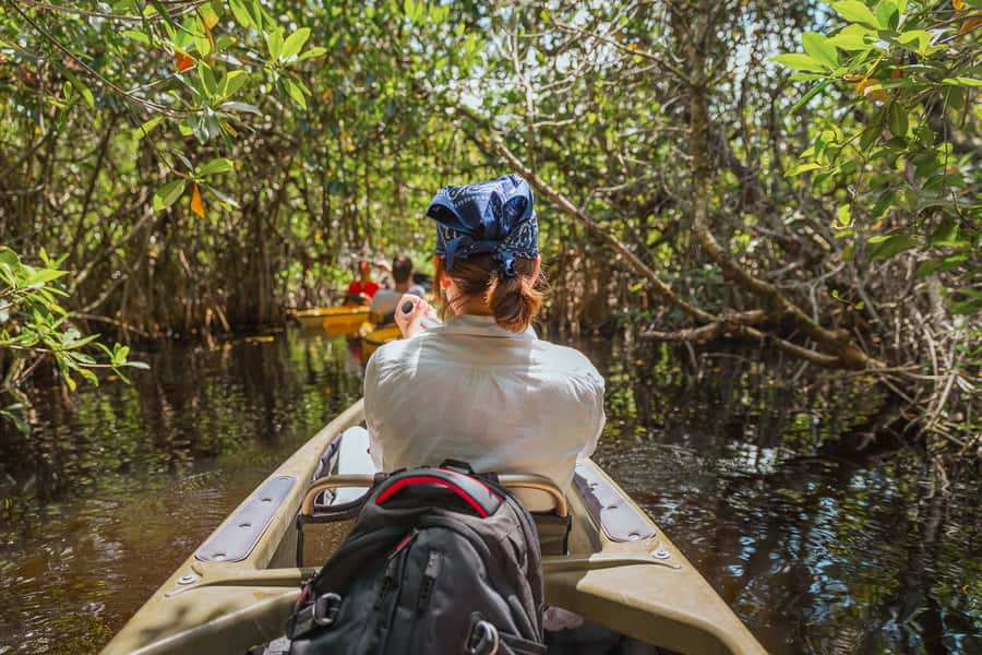Everglades National Park: Mangrove Tunnel Kayak Eco-Tour - Entering the Everglades from the Tamiami Trail