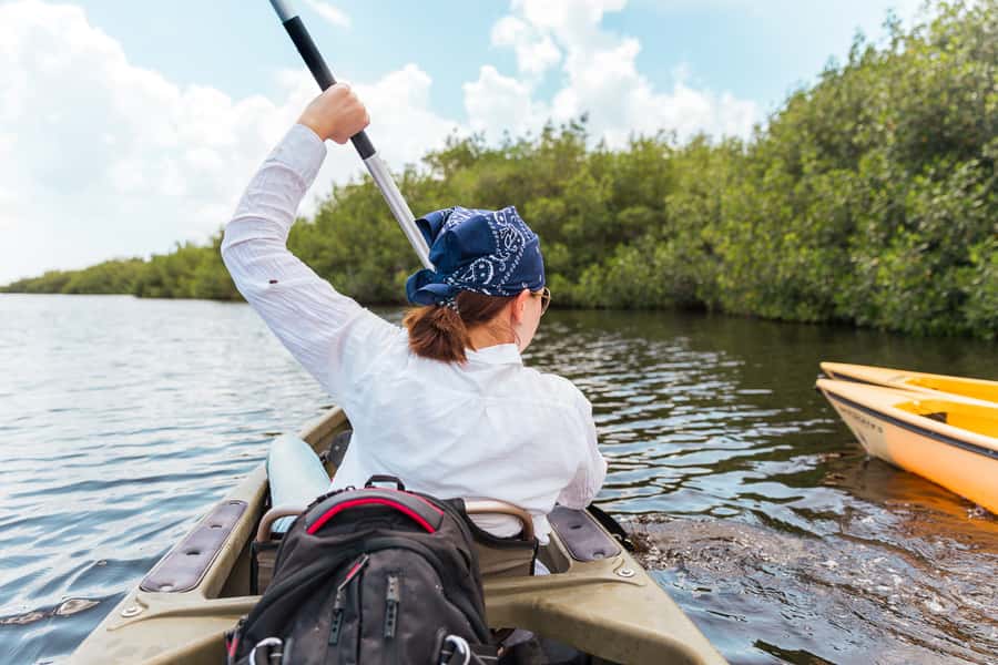 Everglades National Park: Mangrove Tunnel Kayak Eco-Tour - The mangrove tunnels are the star of the trip