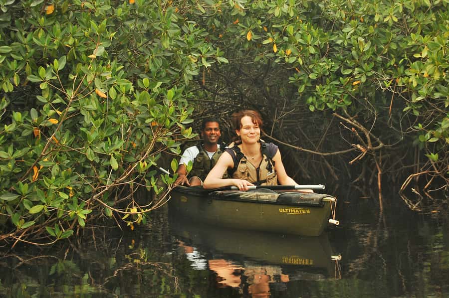 Everglades National Park: Mangrove Tunnel Kayak Eco-Tour - A three-hour paddle through tunnels, creeks, and lakes